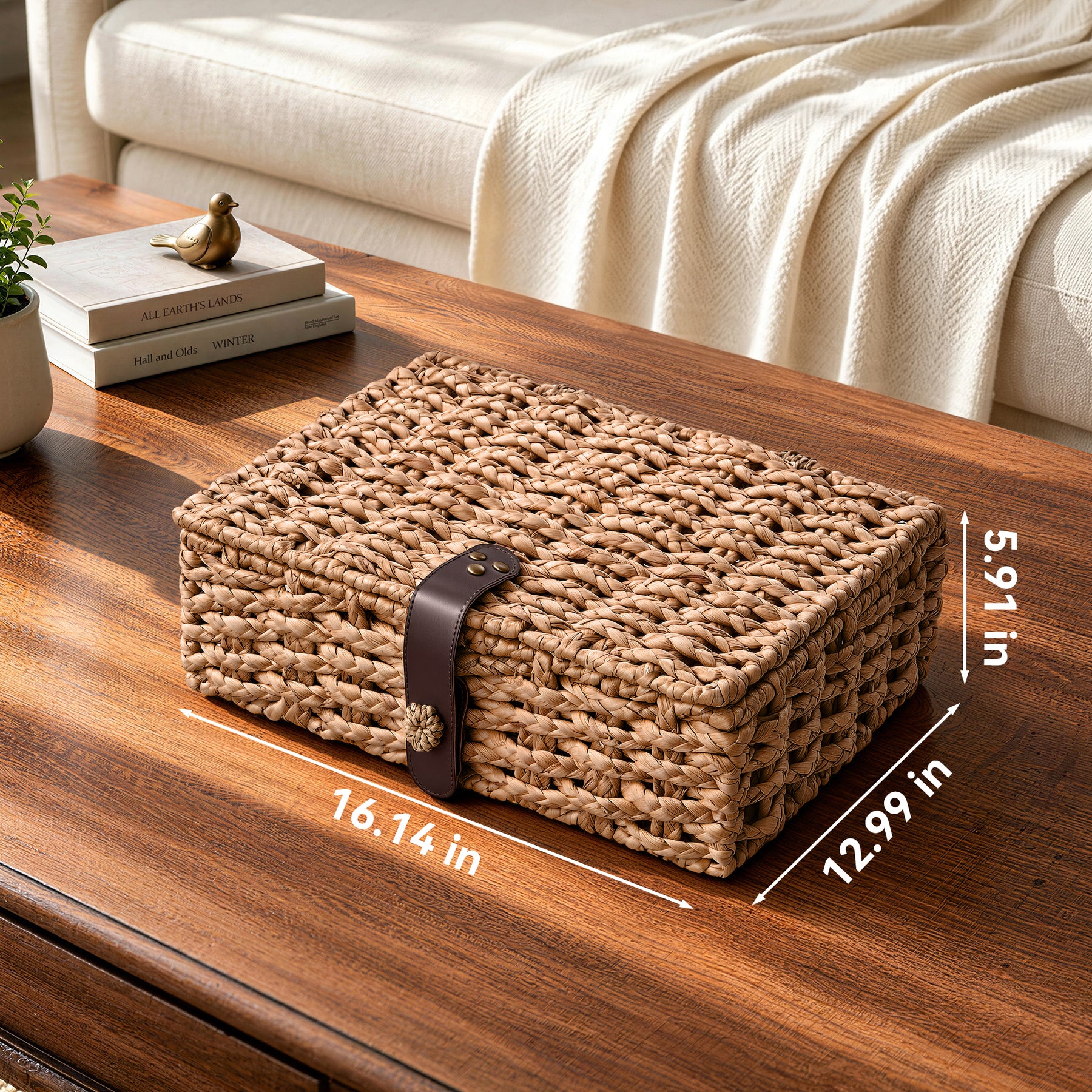 JARLINK Decorative Box with Lid, Handwoven Water Hyacinth Wicker Woven Box